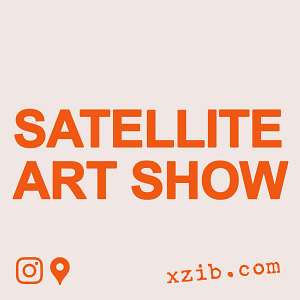 Satellite Art Show