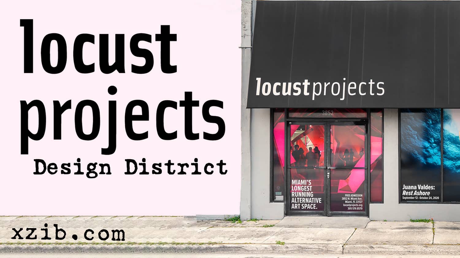 Locust Projects Miami