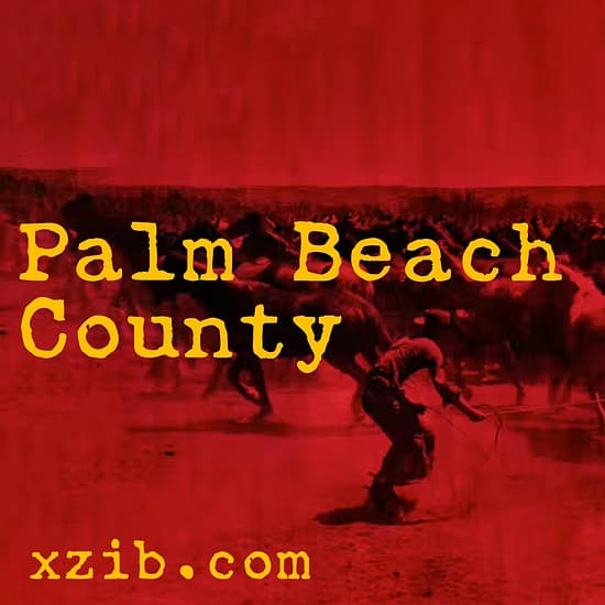 Palm Beach county art exhibitions, galleries, art museums, and studios
