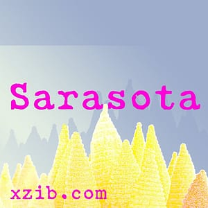 Sarasota art exhibitions, galleries, art museums, and studios
