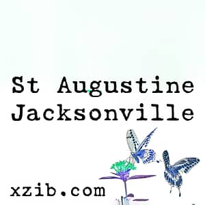 St Augustine Jacksonville art exhibitions, galleries, art museums, and studios