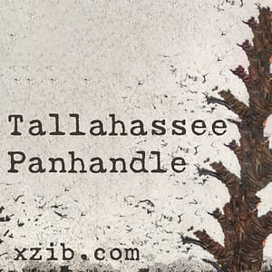 Tallahassee art exhibitions, galleries, art museums, and studios