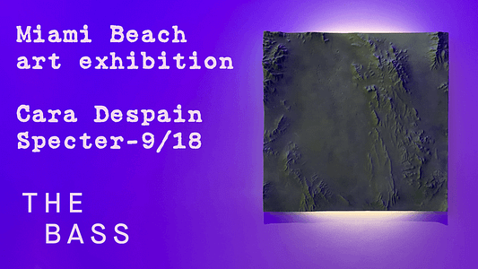 Cara Despain Specter art exhibition at Bass Museum Miami Beach