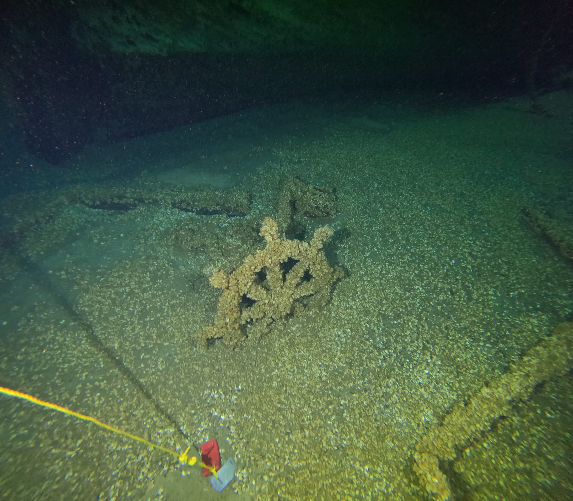 142-Year-Old Shipwreck Discovered in Lake Michigan