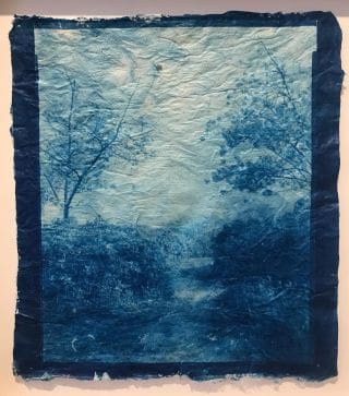 Time flies: it is already the last week of mikahoriemume mika horie’s solo exhibition at IBASHO. Her beautiful cyanotypes on paper made by herself can be seen up to and including 13’March. We are open Thursday-Sunday from 14:00 - 18:00. #mikahorie #mikahoriemume #cyanotype #gampipaper #wabisabi #japanesephotography #aipadmember #aipad #antwerpart